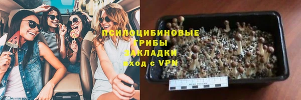 ПСИЛОЦИБИНОВЫЕ ГРИБЫ Нязепетровск