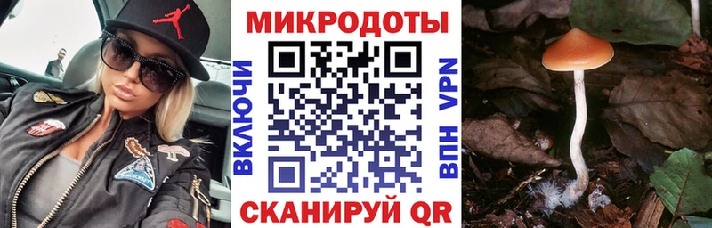 купить наркотики сайты  гидра зеркало  Галлюциногенные грибы мухоморы  Рудня 