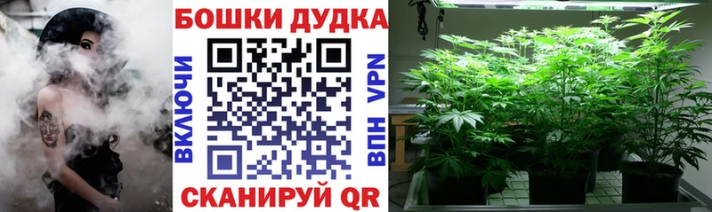 мега вход Рудня Бошки Шишки планчик